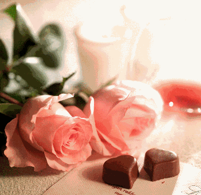 Rose & Chocolate 