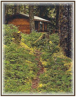 Cabin in Woods