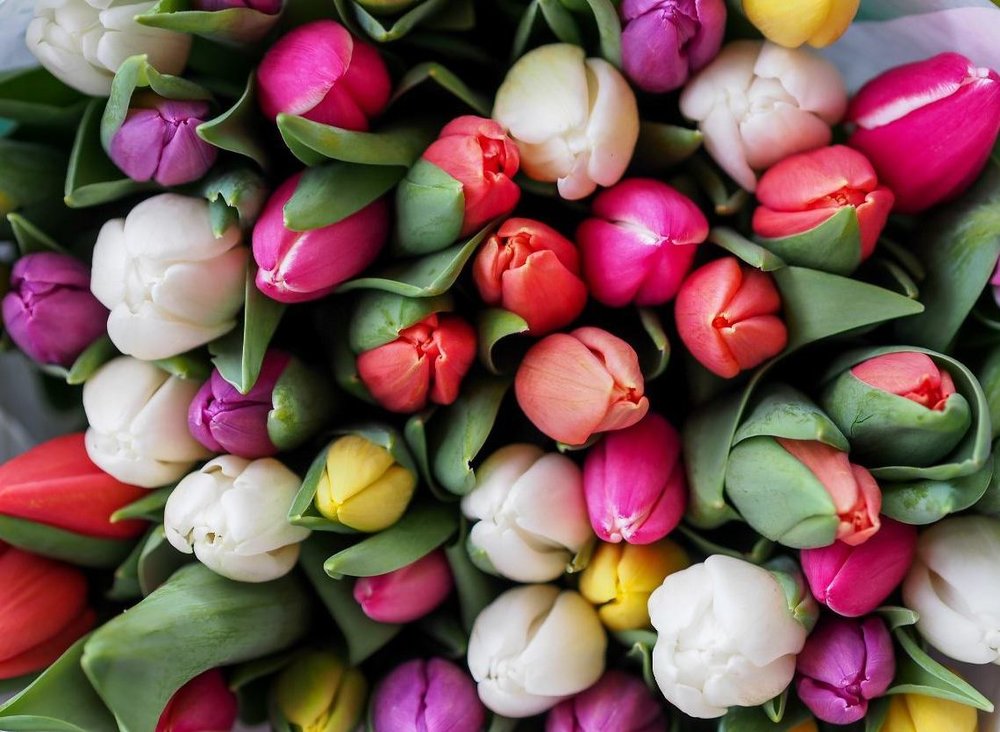 Tips for Choosing a Florist for Memorial 